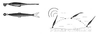Рис.82. Поролоновая рыбка с горизонтальным хвостом: а) внешний вид; б) игра приманки