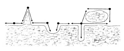Рис.104. Схема облова границы водных зарослей