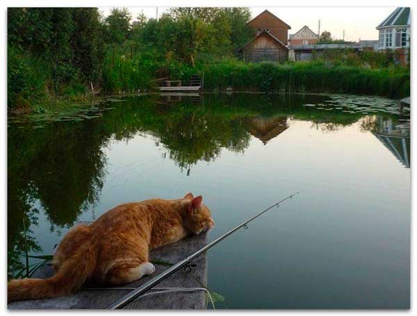 Красивое фото на тему: Рыболовные пейзажи № 92