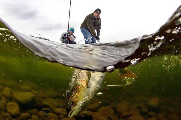 Красивое фото на тему: Рыбалка и рыба № 35