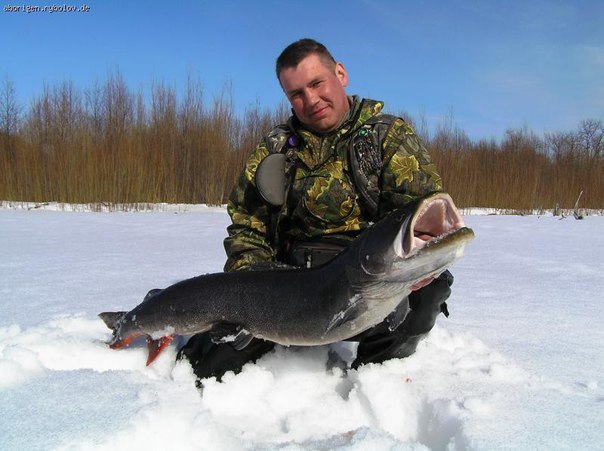 Красивое фото на тему: Зимняя рыбалка № 111