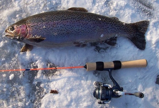 Красивое фото на тему: Зимняя рыбалка № 175