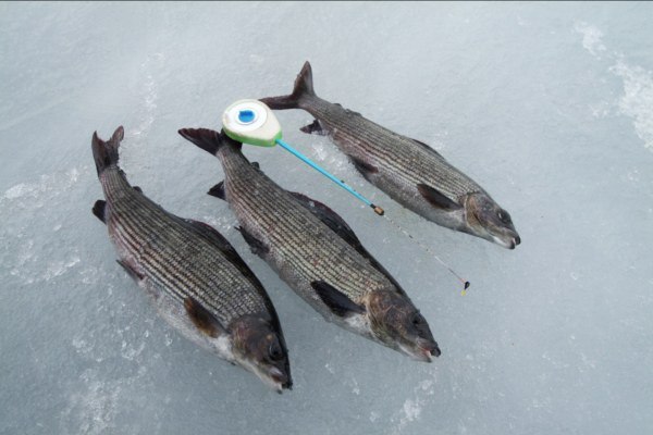 Красивое фото на тему: Зимняя рыбалка № 65