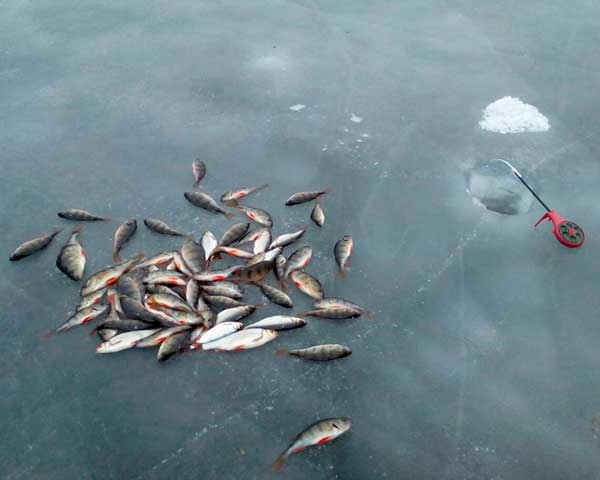 Красивое фото на тему: Зимняя рыбалка № 82