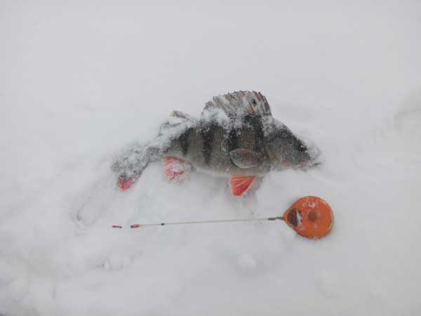 Красивое фото на тему: Зимняя рыбалка № 206