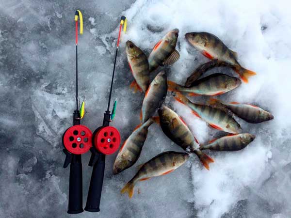 Красивое фото на тему: Зимняя рыбалка № 163