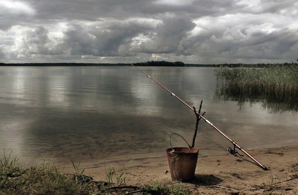Красивое фото на тему: Рыболовные снасти и приманки № 145