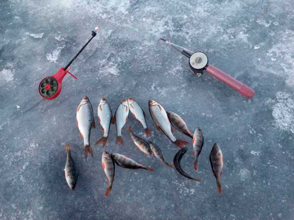 Красивое фото на тему: Зимняя рыбалка № 156