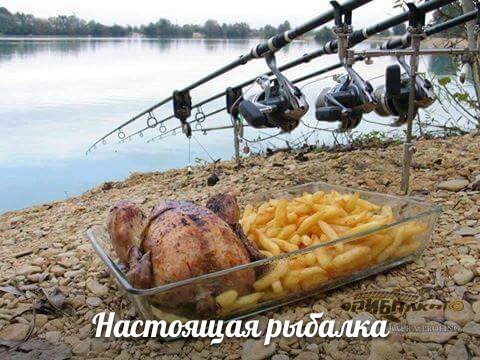 Красивое фото на тему: Рыбалка для меня - все! № 70