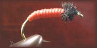 Фото 1. Рыболовная мушка - личинка мотыля.