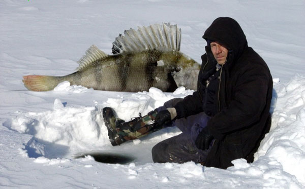фото-прикол на тему зимняя рыбалка № 06