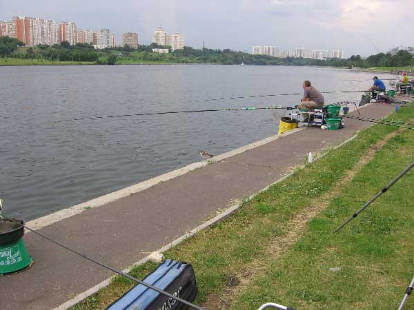 Фото 100 рыболовный спорт: поплавок Чемпионат Москвы 2013