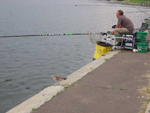 Фото 101 рыболовный спорт: поплавок Чемпионат Москвы 2013
