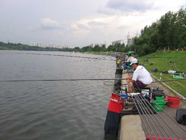 Фото 105 рыболовный спорт: поплавок Чемпионат Москвы 2013