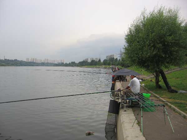 Фото 122 рыболовный спорт: поплавок Чемпионат Москвы 2013