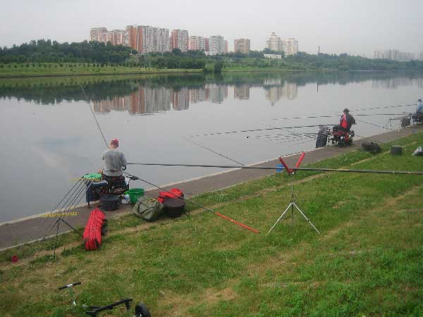 Фото 28 рыболовный спорт: поплавок Чемпионат Москвы 2013