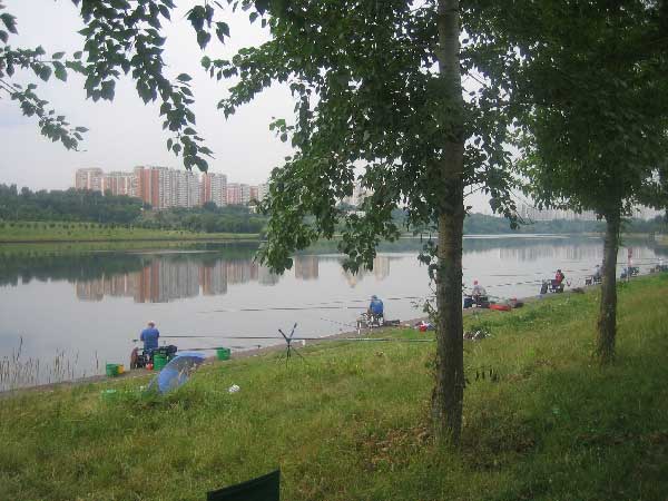 Фото 29 рыболовный спорт: поплавок Чемпионат Москвы 2013