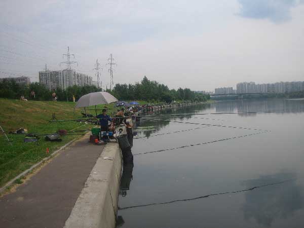 Фото 39 рыболовный спорт: поплавок Чемпионат Москвы 2013