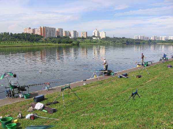 Фото 81 рыболовный спорт: поплавок Чемпионат Москвы 2013