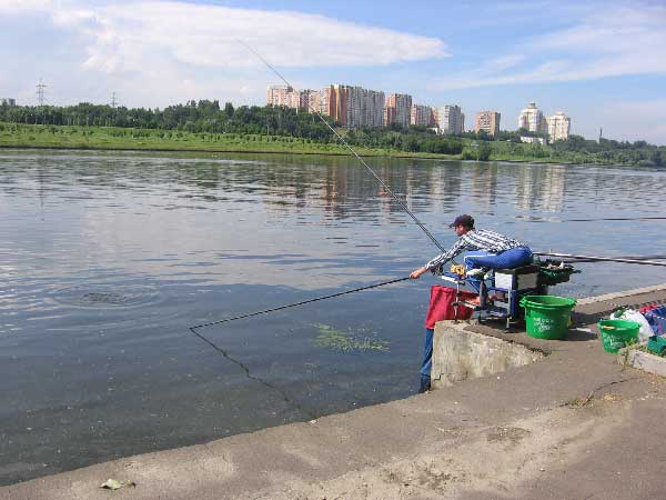 Фото 93 рыболовный спорт: поплавок Чемпионат Москвы 2013
