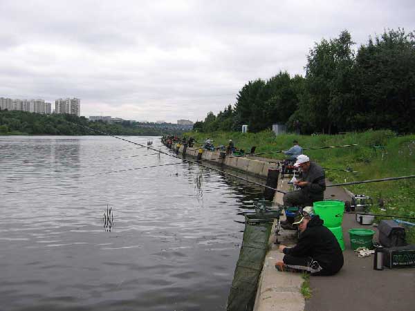 Фото 04 рыболовный спорт: поплавок Кубок Москвы 2013