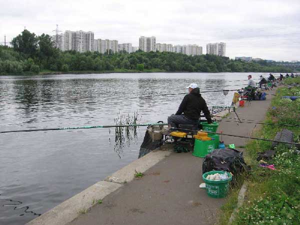 Фото 11 рыболовный спорт: поплавок Кубок Москвы 2013