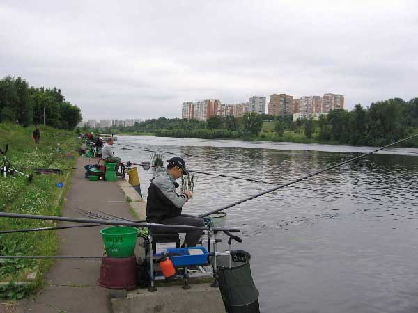 Фото 13 рыболовный спорт: поплавок Кубок Москвы 2013