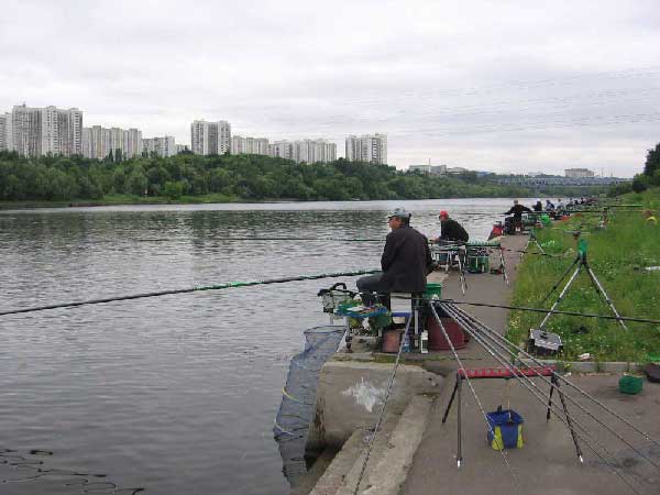 Фото 14 рыболовный спорт: поплавок Кубок Москвы 2013