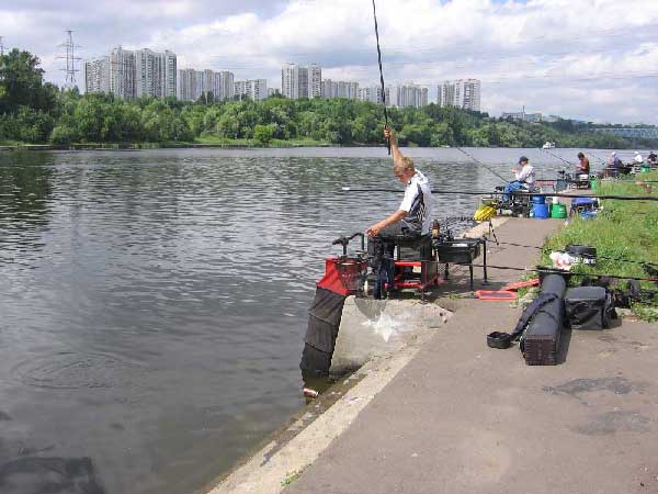 Фото 36 рыболовный спорт: поплавок Кубок Москвы 2013